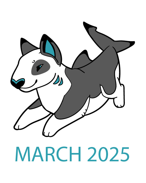 Bull Shark (March 2025)