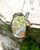 Iced ManaTea (June 2021)