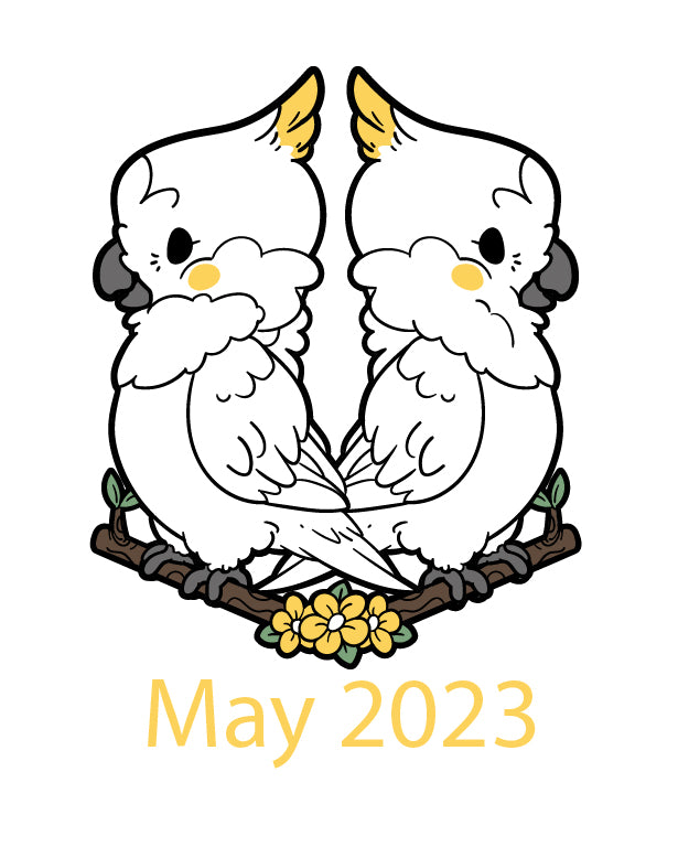 Gemini Cockatoo (May 2023)