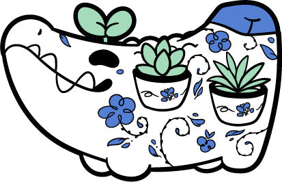 Succulent Planter Croconana (January 2021)