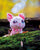 Kitty Cafe Decaf Plush