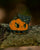 Grumpkin returns (Oct 2022)