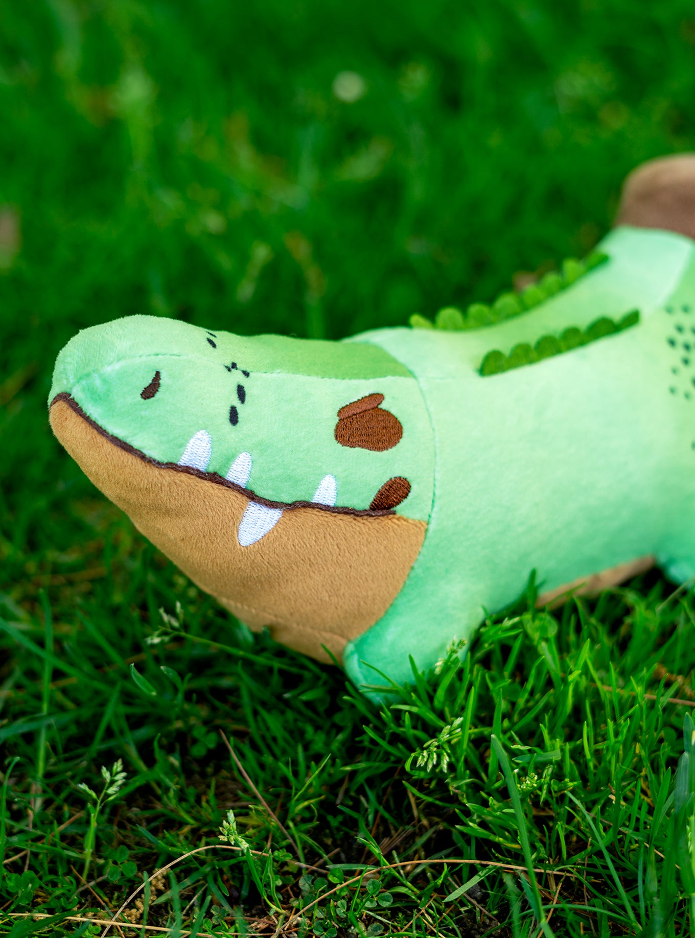 Kiwi Smoothie Croconana (2024 Kickstarter)