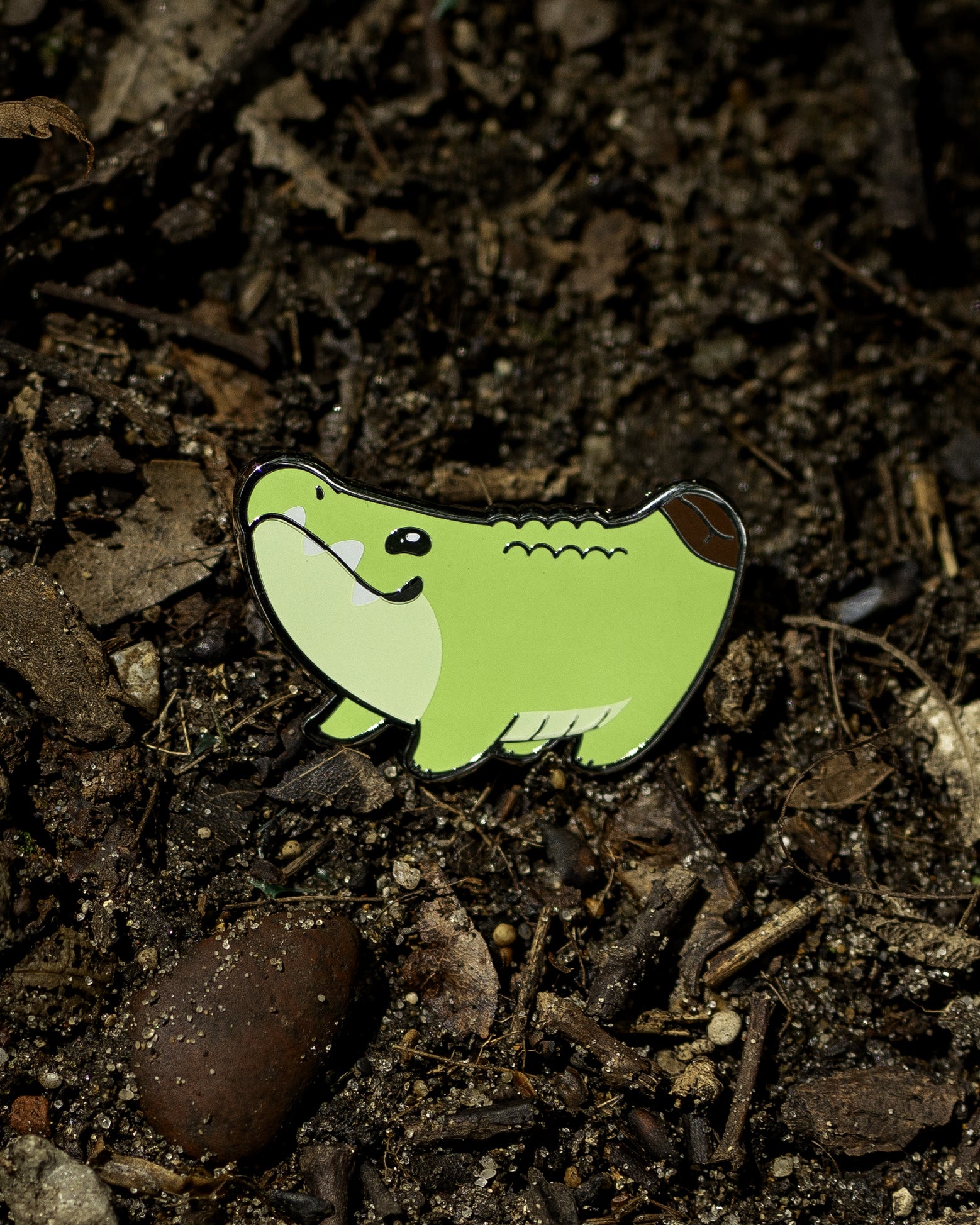 Plancaiman Enamel Pin