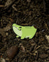 Plancaiman Enamel Pin