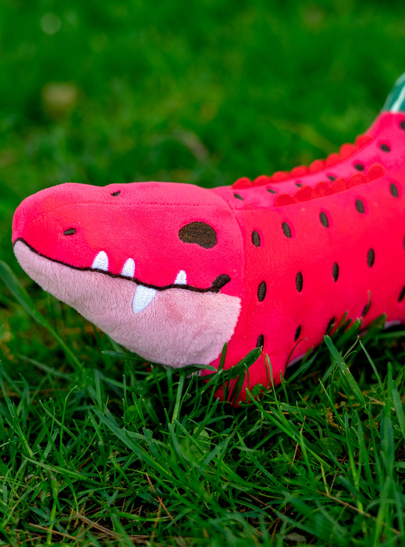 Watermelon Smoothie Croconana (2024 Kickstarter)